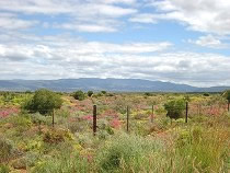 kleine Karoo Route 62